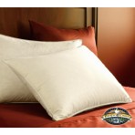 Pacific Coast Eurofeather Pillow (Single Pack)
