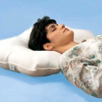 softeze Allergy Free Orthopedic Pillow 25" X 19"